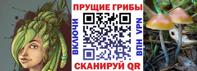 Галлюциногенные грибы мухоморы  Тобольск 