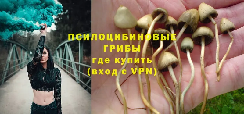 Галлюциногенные грибы Magic Shrooms  Тобольск 