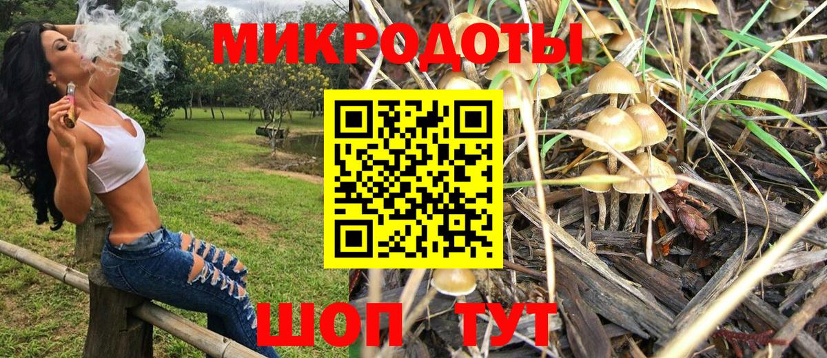 Галлюциногенные грибы MAGIC MUSHROOMS Тобольск