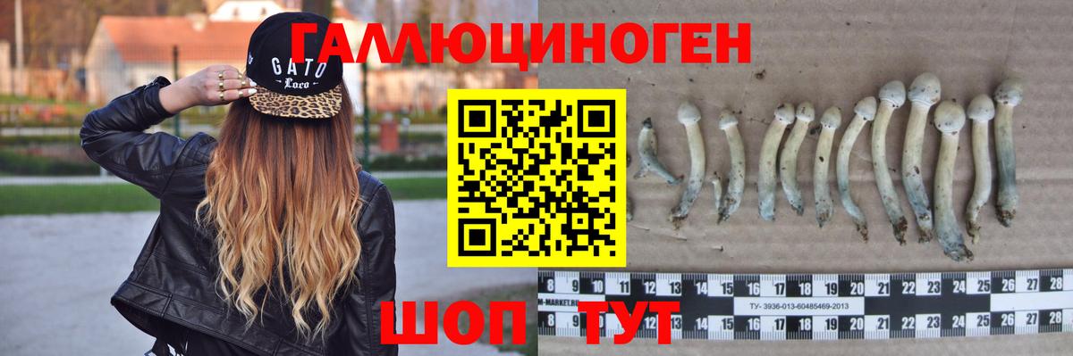 Псилоцибиновые грибы Magic Shrooms  где купить наркоту  Тобольск  Псилоцибиновые грибы Psilocybe 